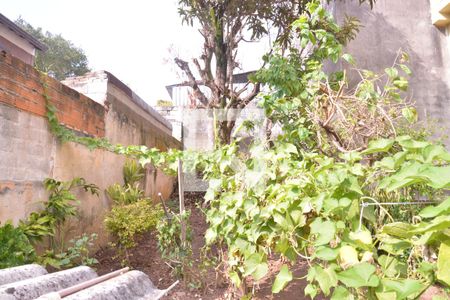 Casa à venda com 455m², 7 quartos e sem vagaÁrea comum