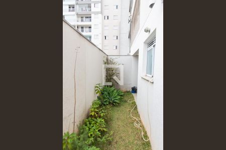 Área privativa de apartamento para alugar com 1 quarto, 58m² em Vila Independencia, São Paulo