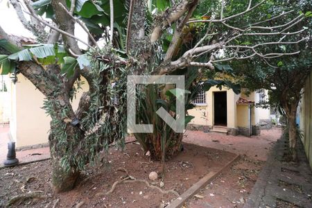 Casa à venda com 800m², 4 quartos e 6 vagasQuintal