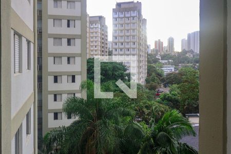 Vista da Sala de apartamento à venda com 3 quartos, 78m² em Jardim Taquaral, São Paulo