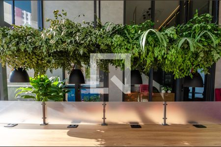 CoWorking de kitnet/studio para alugar com 1 quarto, 27m² em Vila Primavera, São Paulo