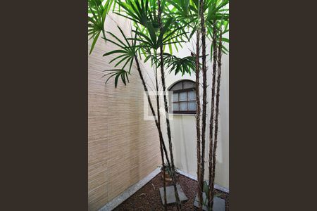 Jardim de Inverno  de casa à venda com 5 quartos, 354m² em Dos Casa, São Bernardo do Campo