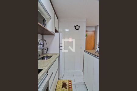 Cozinha de apartamento para alugar com 2 quartos, 50m² em Jardim Íris, São Paulo