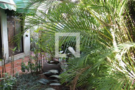 Casa para alugar com 300m², 2 quartos e 2 vagasÁrea externa