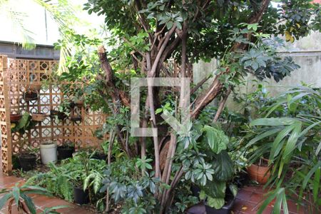 Casa para alugar com 300m², 2 quartos e 2 vagasÁrea externa