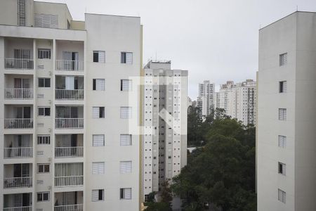 Vista do Quarto 1 de apartamento para alugar com 2 quartos, 49m² em Vila Suzana, São Paulo
