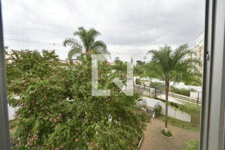 Vista do Quarto 1 de apartamento à venda com 2 quartos, 50m² em Jardim Myrian Moreira da Costa, Campinas