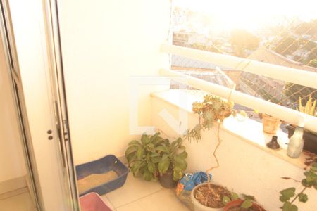 Varanda de apartamento para alugar com 3 quartos, 75m² em Liberdade, Belo Horizonte