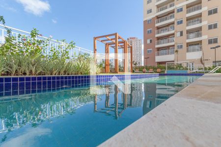 Área comum - Piscina de apartamento para alugar com 2 quartos, 50m² em Jardim Roberto, Osasco