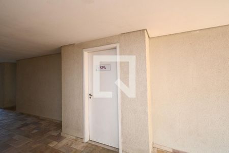 Apartamento para alugar com 38m², 1 quarto e 1 vagaÁrea comum - Spa