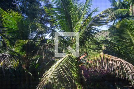 Vista da Sala de casa para alugar com 3 quartos, 400m² em Vargem Grande, Rio de Janeiro