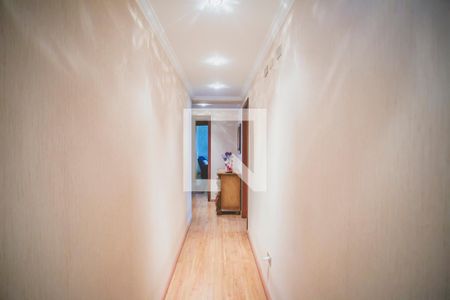 Apartamento à venda com 234m², 4 quartos e 4 vagas Apartamento à venda com 234m², 4 quartos e 4 vagasCorredor - Quartos