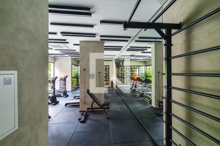 Studio à venda com 22m², 1 quarto e sem vagaacademia