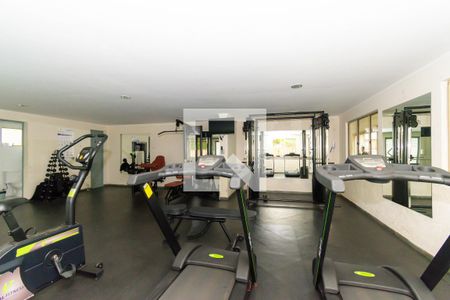 Apartamento à venda com 63m², 2 quartos e 1 vagaÁrea comum - Academia