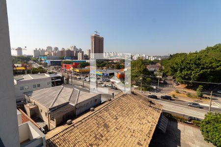Vista Quarto de apartamento para alugar com 1 quarto, 25m² em Vila Sonia, São Paulo