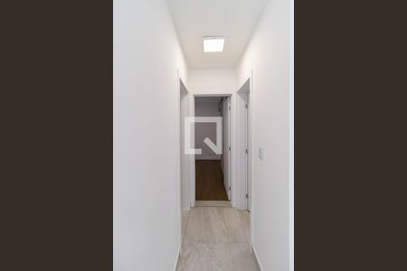 Corredor de apartamento para alugar com 2 quartos, 65m² em Manacás, Belo Horizonte