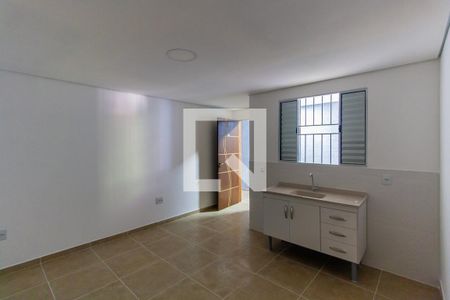 Studio de kitnet/studio para alugar com 1 quarto, 30m² em Vila Oratorio, São Paulo