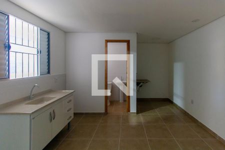 Studio de kitnet/studio para alugar com 1 quarto, 30m² em Vila Oratorio, São Paulo