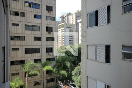 Vista da Sala de apartamento para alugar com 2 quartos, 137m² em Lourdes, Belo Horizonte