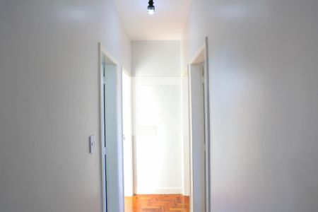 Corredor de apartamento para alugar com 3 quartos, 85m² em Cidade Nova, Belo Horizonte