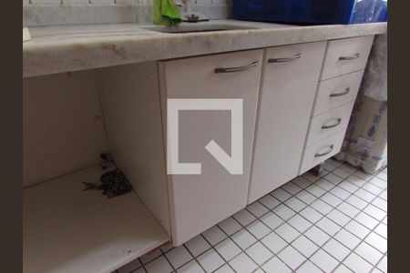 Cozinha - Armários de apartamento para alugar com 3 quartos, 75m² em Jardim Ampliação, São Paulo