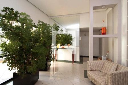 Apartamento à venda com 3 quartos, 71m² em Jardim Luanda, São Paulo