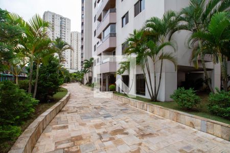 Apartamento para alugar com 85m², 2 quartos e 2 vagas Apartamento para alugar com 85m², 2 quartos e 2 vagasÁrea comum