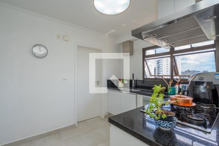 Apartamento à venda com 193m², 3 quartos e 4 vagasCozinha
