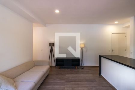 Sala de apartamento para alugar com 2 quartos, 59m² em Vila Suzana, São Paulo