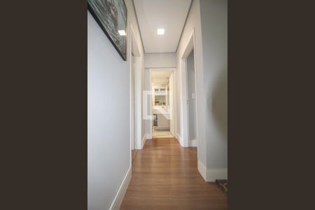 Corredor de apartamento para alugar com 2 quartos, 70m² em Cambuí, Campinas