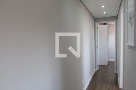 Corredor de apartamento para alugar com 2 quartos, 40m² em Jardim Esmeralda, São Paulo