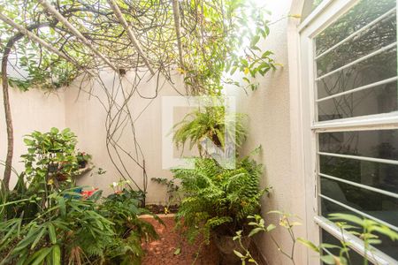 Casa para alugar com 236m², 3 quartos e 4 vagasÁrea de luz Sala