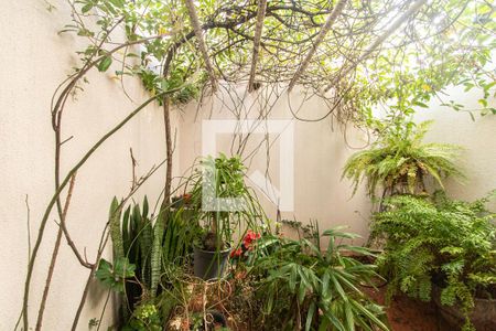 Casa para alugar com 236m², 3 quartos e 4 vagasÁrea de luz Sala