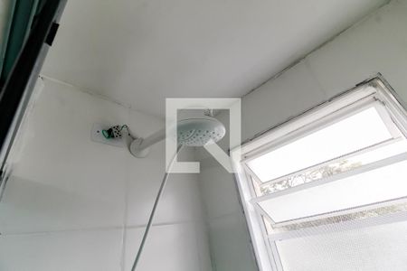 Banheiro - chuveiro de apartamento para alugar com 2 quartos, 49m² em Jardim Paris, São Paulo