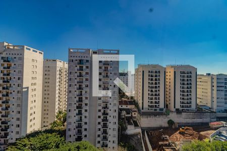 Apartamento para alugar com 3 quartos, 76m² em Vila Campestre, São Paulo