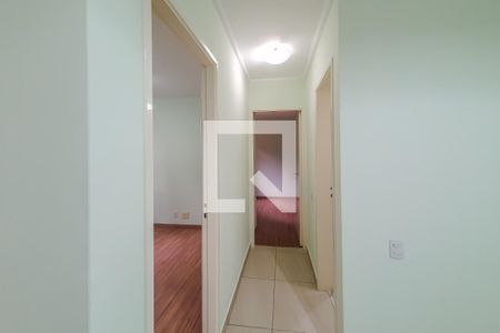 corredor de apartamento para alugar com 2 quartos, 50m² em Cambuci, São Paulo