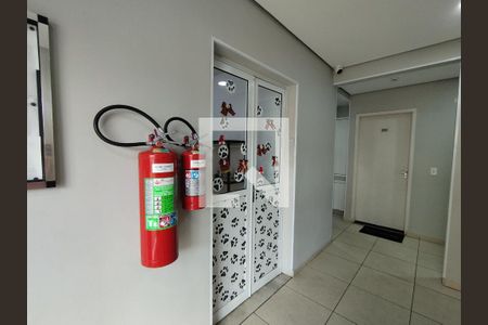Espaço Pet  de apartamento à venda com 3 quartos, 65m² em Jardim Maria Estela, São Paulo