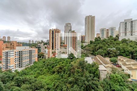 Vista Sala de apartamento para alugar com 2 quartos, 41m² em Jardim Parque Morumbi, São Paulo