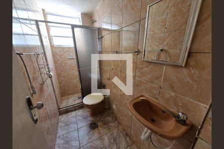 Banheiro de apartamento para alugar com 2 quartos, 50m² em Água Santa, Rio de Janeiro