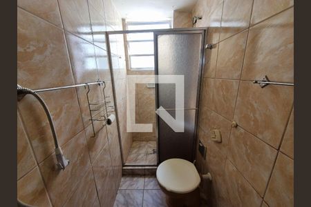 Banheiro de apartamento para alugar com 2 quartos, 50m² em Água Santa, Rio de Janeiro