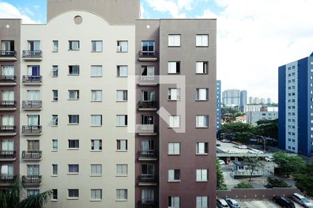 Sala de apartamento para alugar com 2 quartos, 55m² em Sacoma, São Paulo