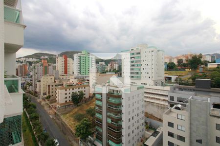 Vista da Varanda da Sala de apartamento à venda com 2 quartos, 65m² em Buritis, Belo Horizonte