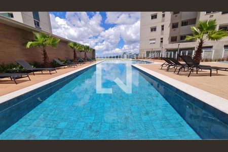 Área comum - Piscina de apartamento para alugar com 2 quartos, 82m² em Serra do Curral Del Rey, Belo Horizonte