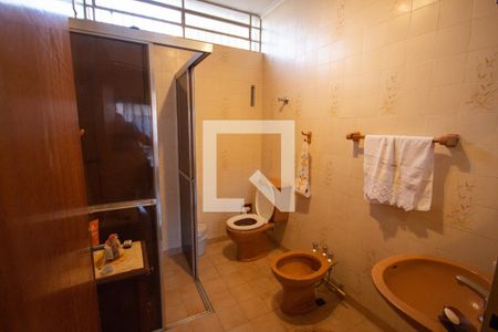 Banheiro Social 1 de casa para alugar com 4 quartos, 258m² em Vila Seixas, Ribeirão Preto