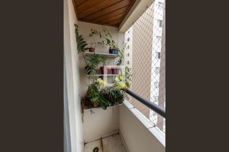 Varanda de apartamento à venda com 3 quartos, 72m² em Vila Nova Cachoeirinha, São Paulo