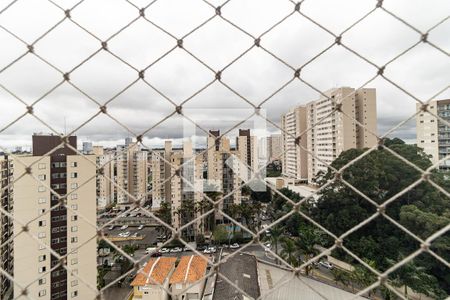 Vista da Varanda da Sala de apartamento para alugar com 3 quartos, 65m² em Jardim Celeste, São Paulo