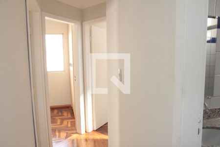 Corredor de apartamento para alugar com 3 quartos, 66m² em Santa Amélia, Belo Horizonte