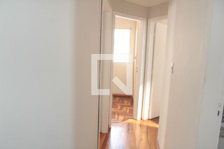 Corredor de apartamento para alugar com 3 quartos, 66m² em Santa Amélia, Belo Horizonte