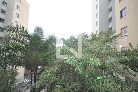 Vista do Quarto 1 de apartamento para alugar com 2 quartos, 60m² em Vila Guilherme, São Paulo