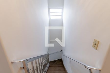 Escadas de casa para alugar com 3 quartos, 149m² em Vila Liviero, São Paulo